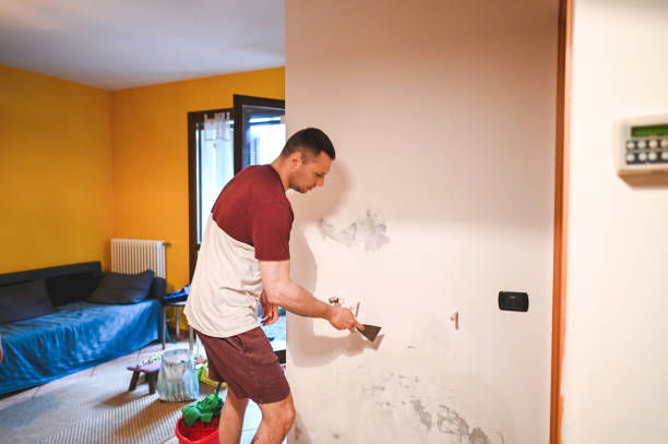 Best Crawl Space Mold Removal  in Avonmore, PA